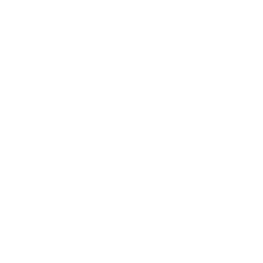 Datei:Fhir-white1.png