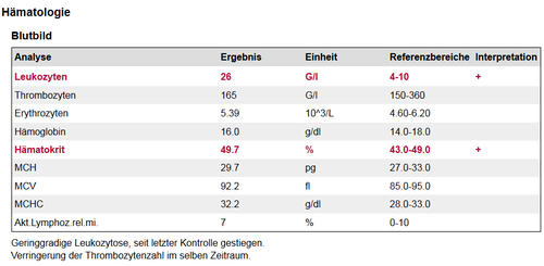 Beispiel einer ausführlichen Laborwerte-Ergebnistabelle.